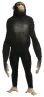 (a_c_chimp) GTA V ped model