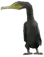 Cormorant (a_c_cormorant) GTA V ped model