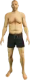 Day Tripper (a_m_m_beach_02) GTA V ped model