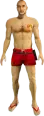 Lifeguard (s_m_y_baywatch_01) GTA V ped model